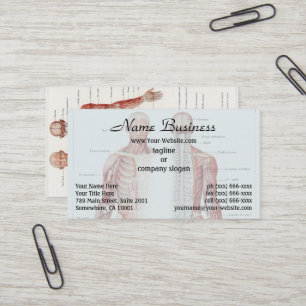 Antike Illustration des menschlichen Nervensystems Visitenkarte