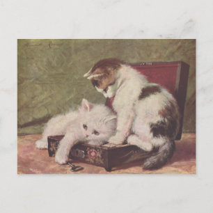 Antike Illustration von spielenden Kätzchen aus de Postkarte