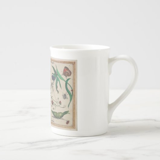 Antike Insekten, Blumen, trägt Hoefnagel Früchte Porzellantasse (Rechts)