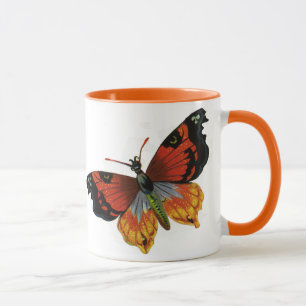Antike Insekten oder Käfer, schöne Butterfly Tasse