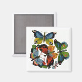 Antike Insekten oder Käfer, schöne Schmetterlinge Magnet (Vorderseite/Rückseite)