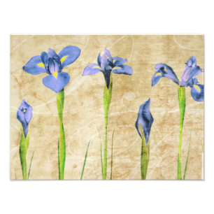 Antike Irische - Vintager Iris-Hintergrund - indiv Fotodruck