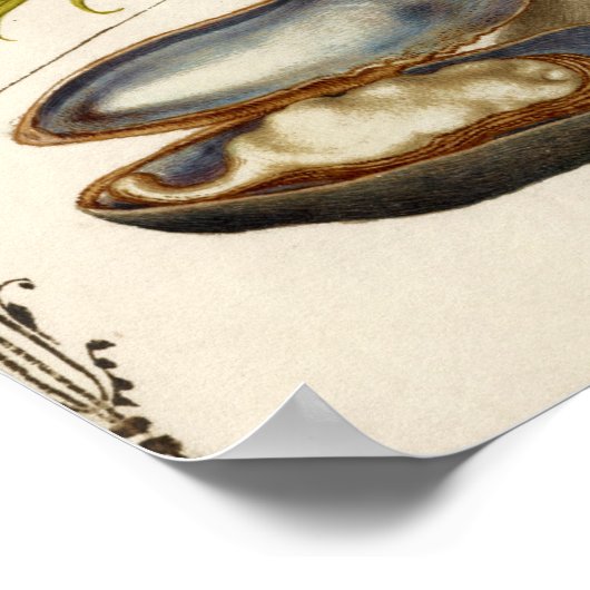 Antike Kalligrafie Text botanische Abbildung Poster (Ecke)