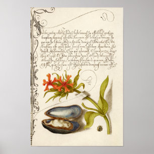 Antike Kalligrafie Text botanische Illustration Poster