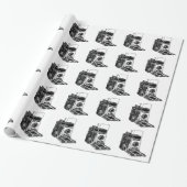 Antike Kamera Geschenkpapier (Ungerollt)
