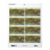 Antike Karte, Panoramasicht auf Washington DC (Vorne)