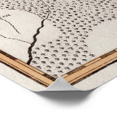 Antike Karte Preußen / Polen Masuria See Sniardwy Poster (Ecke)