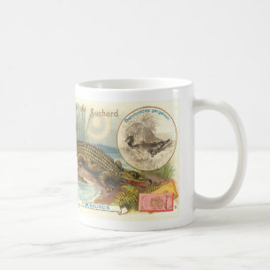 Antike Karte Suchards Chocolat Nicrosaurus Kaffeetasse