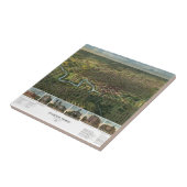 Antike Karte von Houston, Texas mit Fluss Buffalo Fliese (Seite)