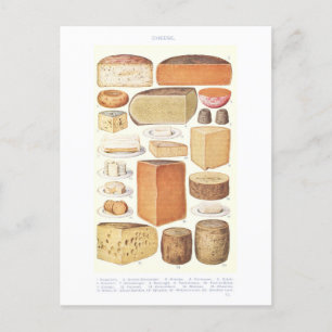 Antike Käse-Illustration Postkarte