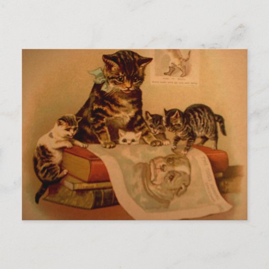 Antike Kätzchen & Bücher Kitty Schule Postkarte (Vorderseite)