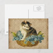antike Katze im Korb Postkarte (Vorne/Hinten)