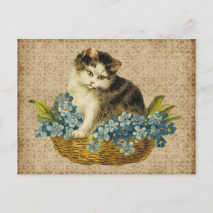 antike Katze im Korb Postkarte