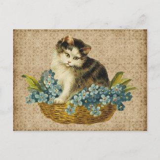 antike Katze im Korb Postkarte