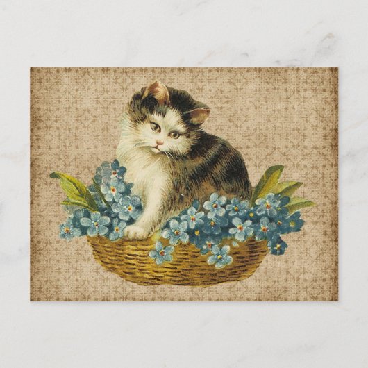 antike Katze im Korb Postkarte (Vorderseite)