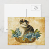 antike Katze im Korb Postkarte (Vorne/Hinten)