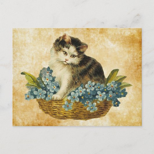 antike Katze im Korb Postkarte (Vorderseite)