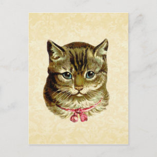 Antike Katze mit rosa Schleife Postkarte
