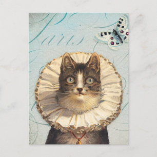 Antike Katze mit Rüschenkragen und Schmetterlingen Postkarte