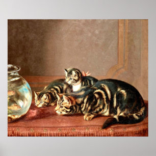 Antike Katzen beobachten Fische in einem Aquarium Poster