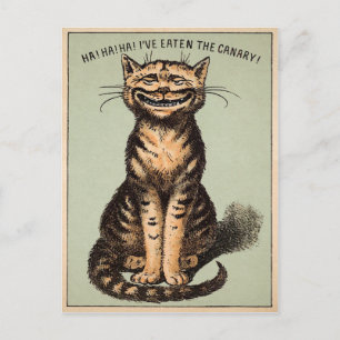 Antike Katzen-Kanarienvogel Postkarte