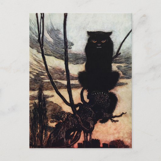 Antike Katzen-Postkarte Postkarte (Vorderseite)