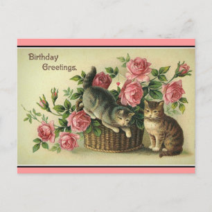Antike Katzen Rosa Rosen Floraler Korb - Postkarte