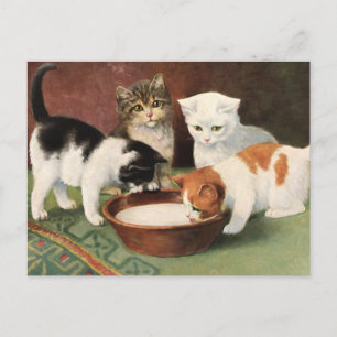 Antike Katzen und Milch Postkarte