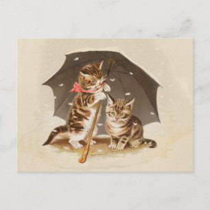 Antike Katzenkunst mit Vintage-Kätzchen unter eine Postkarte
