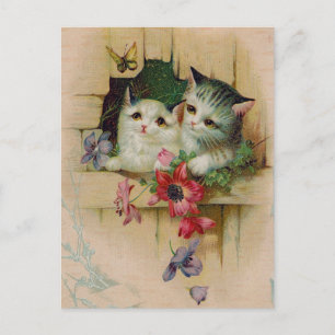 Antike Katzenpostkarte Postkarte