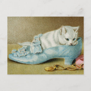 Antike Katzenpostkarte Postkarte