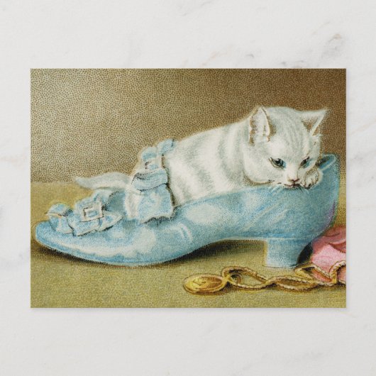 Antike Katzenpostkarte Postkarte (Vorderseite)