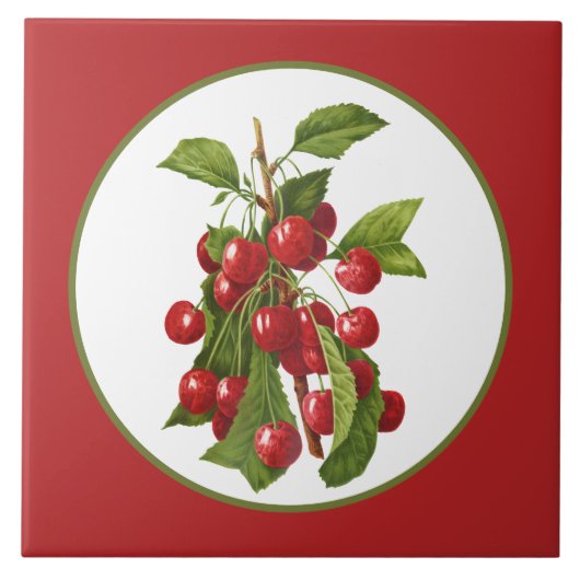 Antike Kirschfrucht für die Küche Fliese (Vorderseite)