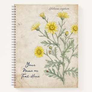 Antike Korn-Margerite Botanisch Notizblock