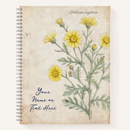 Antike Korn-Margerite Botanisch Notizblock (Vorderseite)