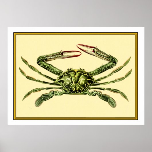Antike Krabbe Poster (Vorne)