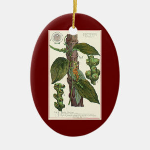 Antike Kräuter und Gewürze für Lebensmittel, Schwa Keramikornament