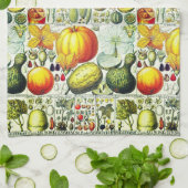 Antike Kürbisse und Kürbis-botanischer Druck Geschirrtuch (Gefaltet)