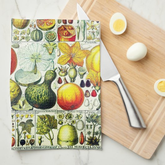 Antike Kürbisse und Kürbis-botanischer Druck Geschirrtuch (Viertel Falte)