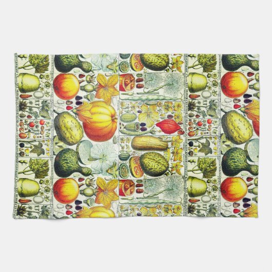 Antike Kürbisse und Kürbis-botanischer Druck Geschirrtuch (Horizontal)