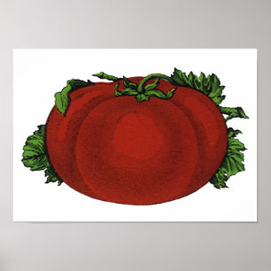 Antike Lebensmittel, reife Tomate, Gemüse und Früc Poster