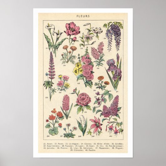 Antike lila Blumen Poster (Vorne)