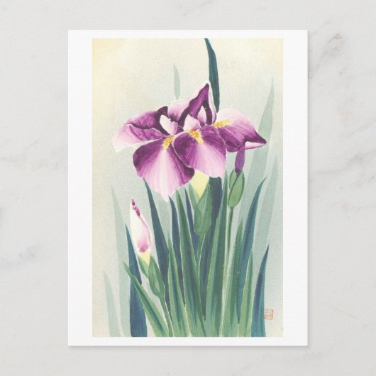 Antike lila Iris aus Japan Postkarte (Vorderseite)