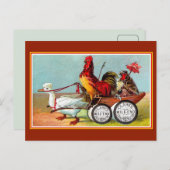 Antike lustige Hühner Entenspuelwolle Postkarte (Vorne/Hinten)