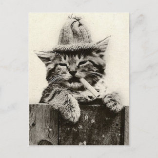 Antike lustige Nostalgie süße Katze/Kätzchen Postkarte
