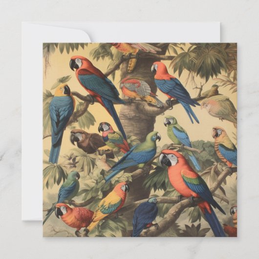 Antike Macaw-Dschungel-Botanik-Kunstkarte (Vorderseite)