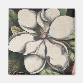 Antike Magnolie Magnet (Vorne)