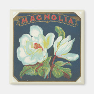 Antike Magnolienblüte Magnet