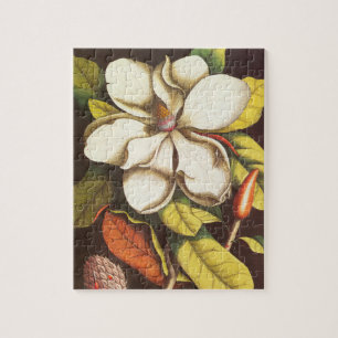 Antike Magnolienblüten Pflanze mit Samen Puzzle