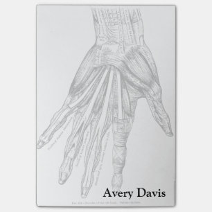 Antike medizinische Zeichnung Muskeln der Hand Post-it Klebezettel